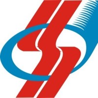 Logo DSS